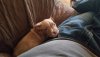 20200926_145241.jpg