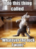 whatever-the-uck-i-want.png