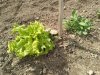 IMG_20201008_152116571.jpg