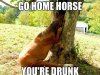 giantgag.com-funny-go-home-horse-you-re-drunk-01.jpg