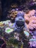 20201022_161903.jpg