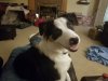 20201112_203513.jpg