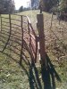 IMG_20201117_110704346.jpg