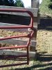 IMG_20201117_110656195.jpg