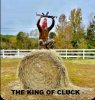 king of cluck.jpg