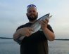 sea trout.jpg