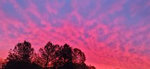 20210204_071919.jpg