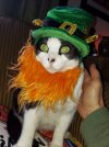20210213_122916.jpg