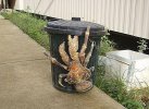 coconut-crab-1.jpg