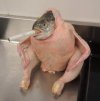 image(62).jpeg