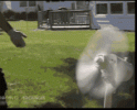 D7DC4C79-E502-4A09-B820-52600F343B47.gif