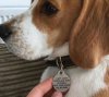 Dog Tag - Copy.jpg