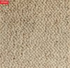 Naturs-Carpet-Everest-Sandy-Shore-16455-SW-LG.jpg