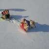 1592853086520.gif