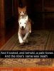 weekly-meme-dankness-25-photos-19~2.jpg
