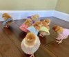 chicks in short skirts.jpeg