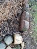 20200905_173812.jpg